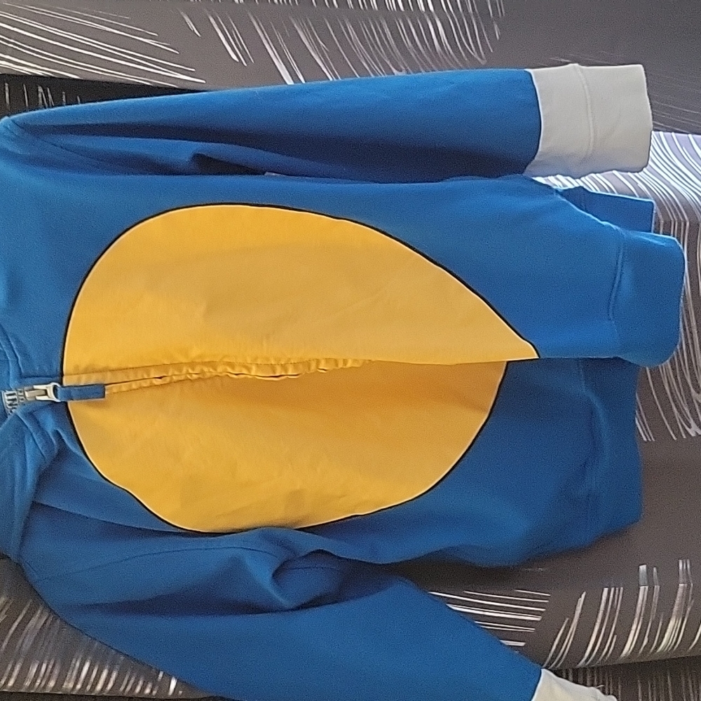 Sonic sweater